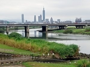 內湖瑞陽公園→文德三號公園→基隆河右岸→美堤河濱公園步道