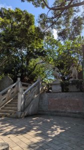 113.11.24羊稠坑森林步道