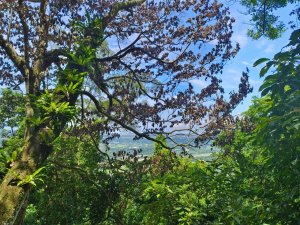 桃園-溪州山