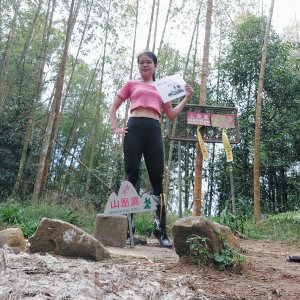 111.11.30南投／鹿谷 茶園竹林杉木一次滿足（鳳凰山-南鳳凰山O型）