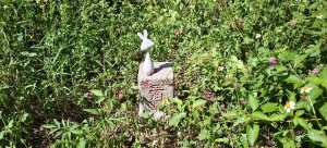 四角坪道-2025/10/05