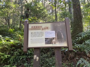 東眼山