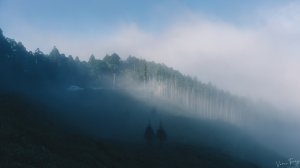 【油羅山】新竹五峰的迷霧花園