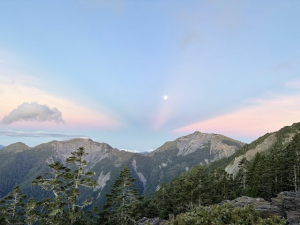 南三段生態踏查 x iNAT紀錄