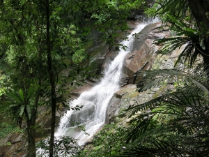 炎夏消暑步道~青山瀑布O型走