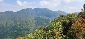 【中級山縱走】夢幻柳杉林與魔幻森林的交響曲，拉卡山，東眼山，1200峰，東滿步道