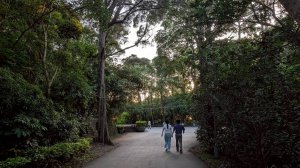 十八尖山步道
