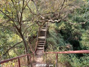 【彰化社頭】台灣百大必訪步道。清水岩中央嶺造林步道十八彎古道O型