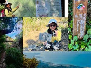 楓港紫竹林龍峰寺起登 里龍山(小百岳#80)來回