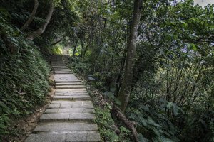 2020-4-21新店小獅山