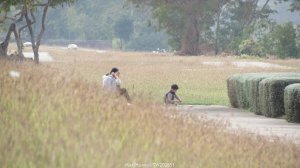 《台中》冬日暖陽｜筏子溪門戶迎賓水岸廊道健行賞鳥