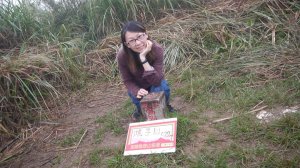 鵲子山登山健行趣(小百岳84號)(第016篇旅記分享)