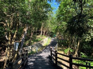 【新聞】碧山露營場『森林特色營區』正式開放申請！