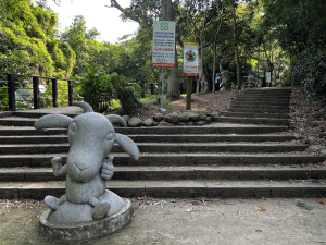 【桃園】五羊縱走沒有羊