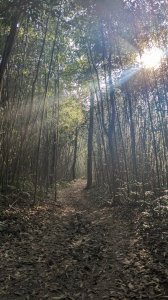 關刀山 出關古道上