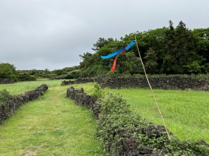 濟州島偶來小路13號，龍水-楮旨偶來，15.9公里。13號是27段偶來小路中比較沒有驚喜的路段。大多田園路，還有特種兵幫忙闢建出來的林蔭路。本路段有多棵大朴樹，樹形優美。