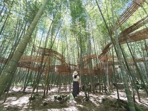 小半天孟宗竹林古戰場+長源圳生態步道Ｏ形