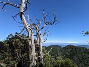 貴妃山那結山外鳥嘴山