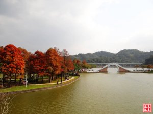 【台北市】大湖公園雨中即景