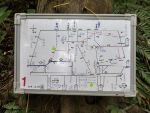 南港山攀岩步道路線探查