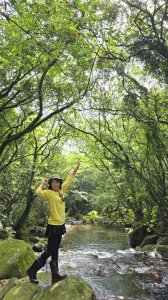 陽明山秘境，涼爽水圳步道，鹿堀坪古道，富士坪古道，夏日戲水與溯溪天堂，首選鹿堀坪（頭前溪）瀑布。