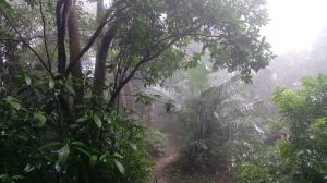 光復銅鐘登鳶山