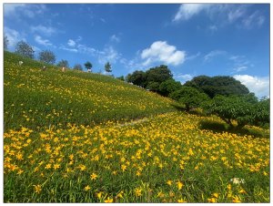 花壇、虎山巖步道