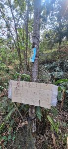 笠頂山