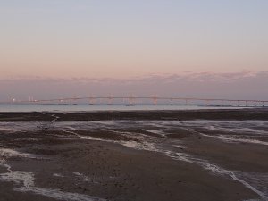 同安渡船頭步道