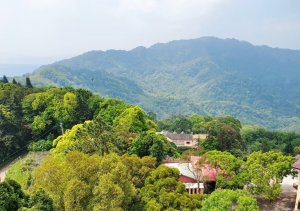 苗栗關刀山，出關古道（聖關段），薑麻園瞭望塔