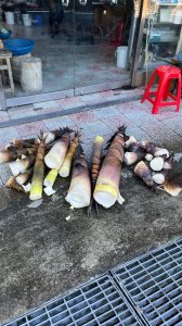 石碇_鱷魚島、千島湖