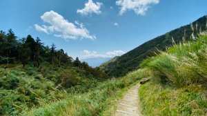 太平山台灣山毛櫸國家步道