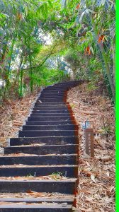 荷苞山登山步道