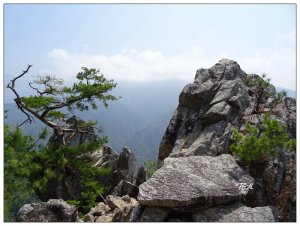 東卯山東南稜縱走