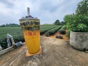 田中車站至二水車站的徒步登山之旅