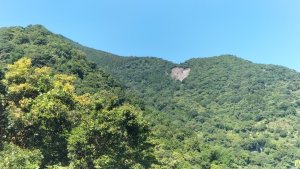 烏來大桶山腳下洦洦山澗、幽幽秘徑