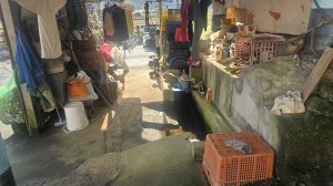 20251210萬里加投山-芎蕉坪古道-北八斗山東南峰-北八斗山-夏綠蒂山-神主嶺-陳明故居