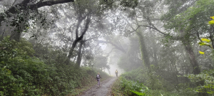 出關古道-聖關段(關刀山步道O型)-2024/12/14