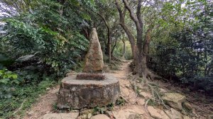 114.09.14青龍嶺-秋壇山-鎮遠山-大青坑崙-三角埔頂山之旅(二)