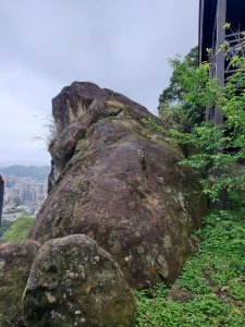 景美仙跡岩，景美山小O走