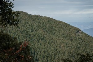 高島縱走・二訪 | 與世隔絕的私人小營地！