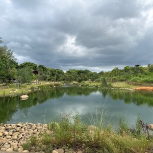 霄裡好風光運動樂悠遊