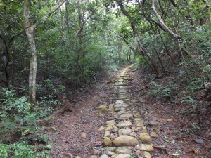 蓮華寺文山步道(犁頭山、吧哩國山)、三段崎古道、竹22鄉道O型
