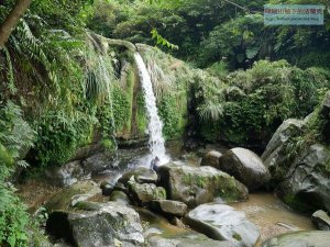 【台北市】政大-指南山-獅球山-樟湖山-樟山寺-救千宮 O型小縱走