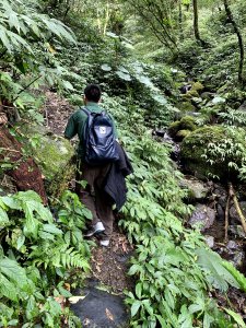 巴唐古道 登三角崙山、聖母山莊