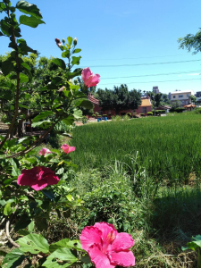 宵裡好風光-茄苳宵裡鐡馬行