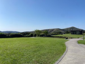 陽明山：石梯嶺步道