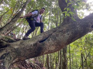 泰安溫泉.鳥嘴山【強筋健骨 養顏美容的套裝行程】