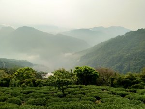 挑筍古道連走雲嘉大尖山、二尖山