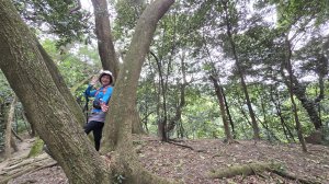 血藤秘境，步行30分鐘即可抵達，鳶山血藤大爆發，最佳賞花期只有7天，要去要快，鳶溪縱走